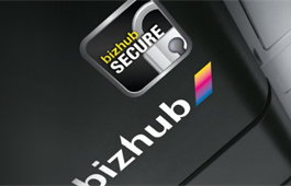 bizhub SECURE